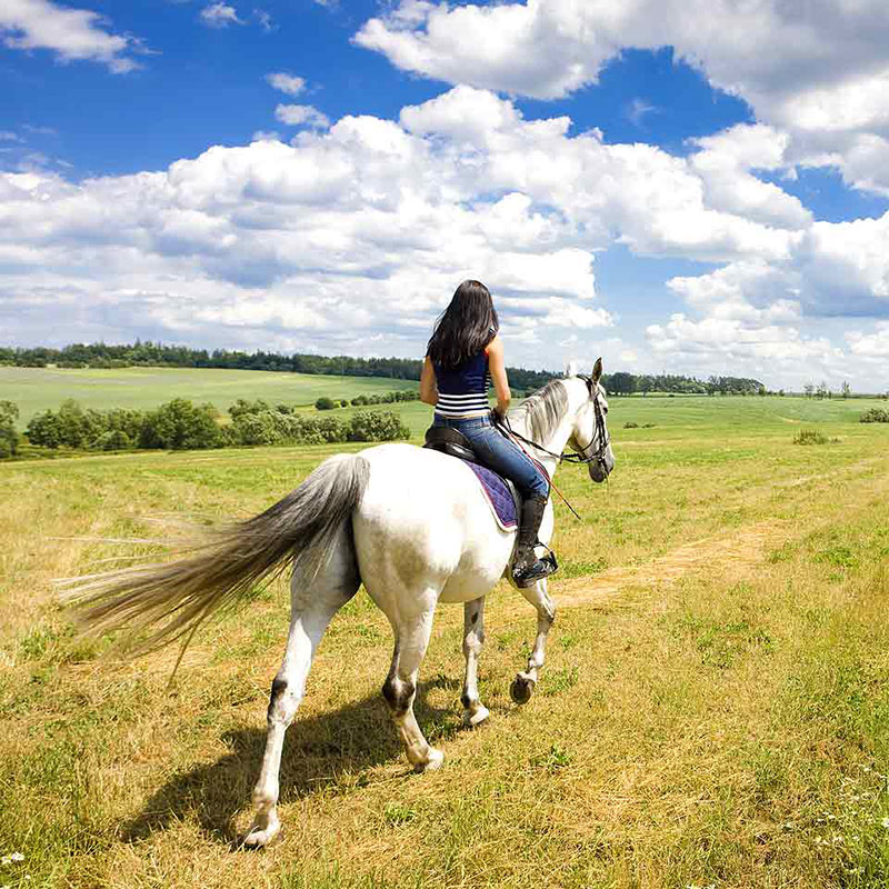 Passeggiata a cavallo