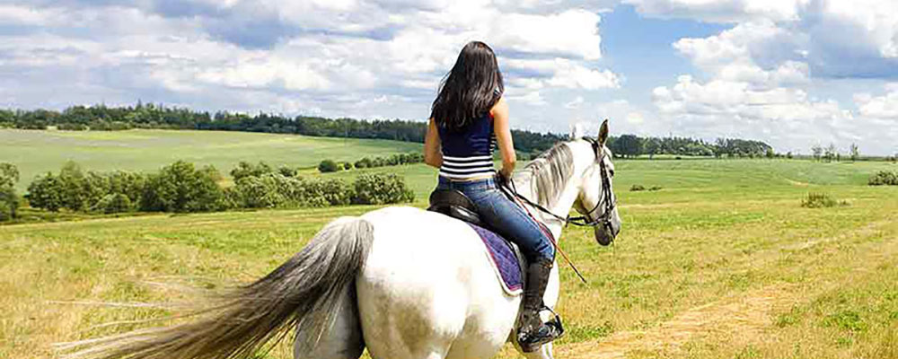 a cavallo nel Parco dell'Alta Murgia